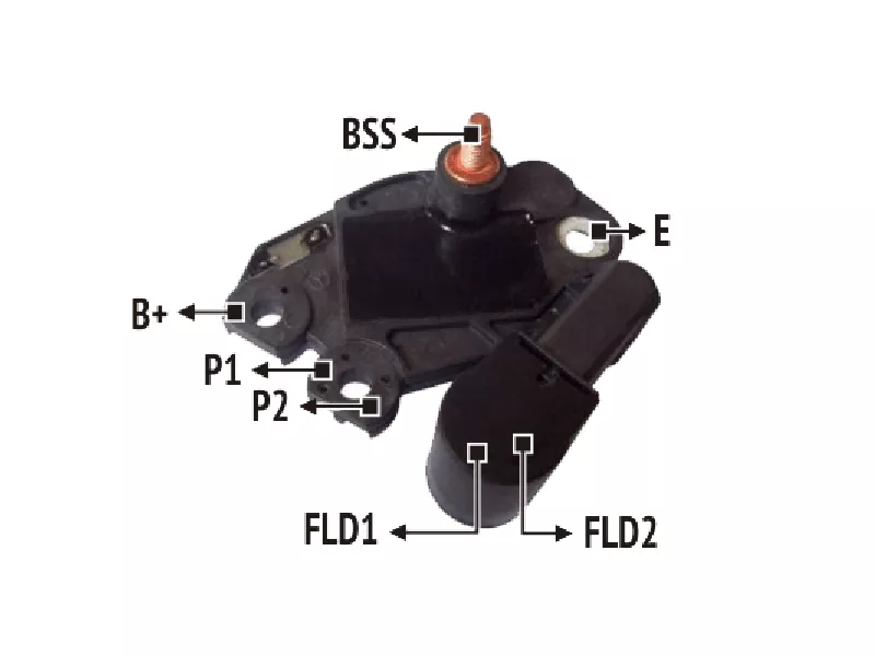 RNV 599149          